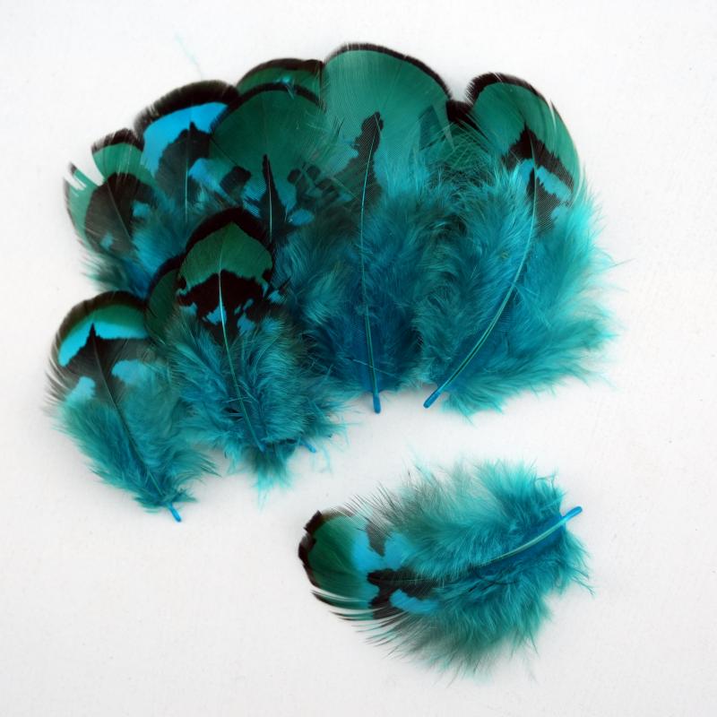 Natural DIY Pheasant Feathers  - đánh giá và giá Wedding Supply In Bulk