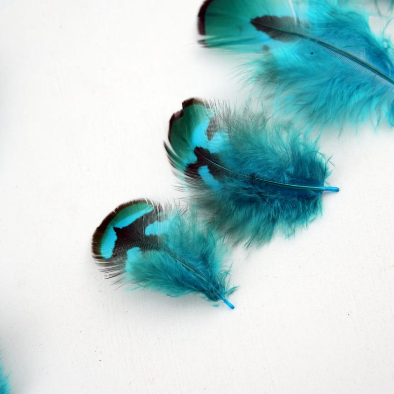 Natural DIY Pheasant Feathers  - đánh giá và giá Wedding Supply In Bulk
