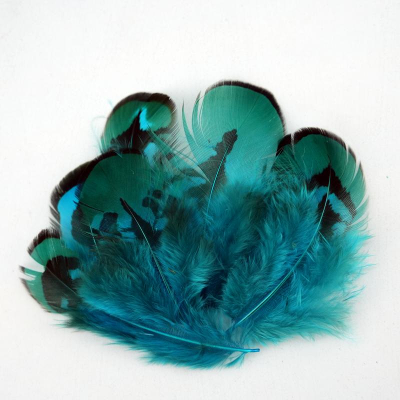 Natural DIY Pheasant Feathers  - đánh giá và giá Wedding Supply In Bulk