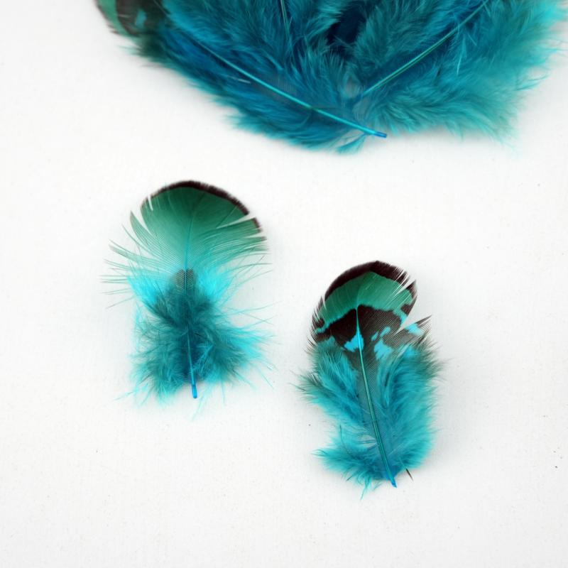 Natural DIY Pheasant Feathers  - đánh giá và giá Wedding Supply In Bulk