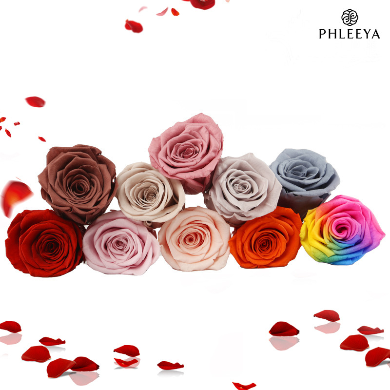 6pcs Eternal Rose Flower Heads - đánh giá và giá Wedding Supply In Bulk